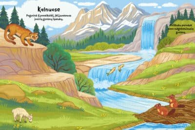 Gyvūnai. Klijuok lipdukus - Image 4