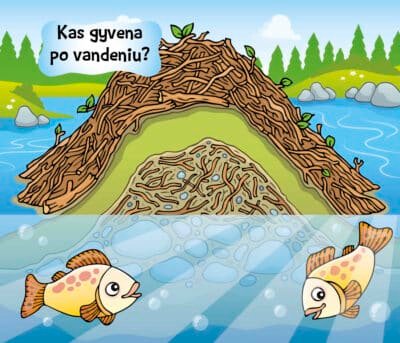 Kas namelyje gyvena? Gyvūnai - Image 4