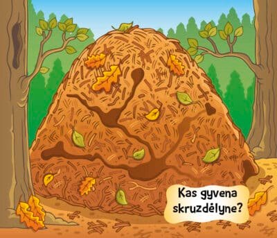Kas namelyje gyvena? Gyvūnai - Image 2