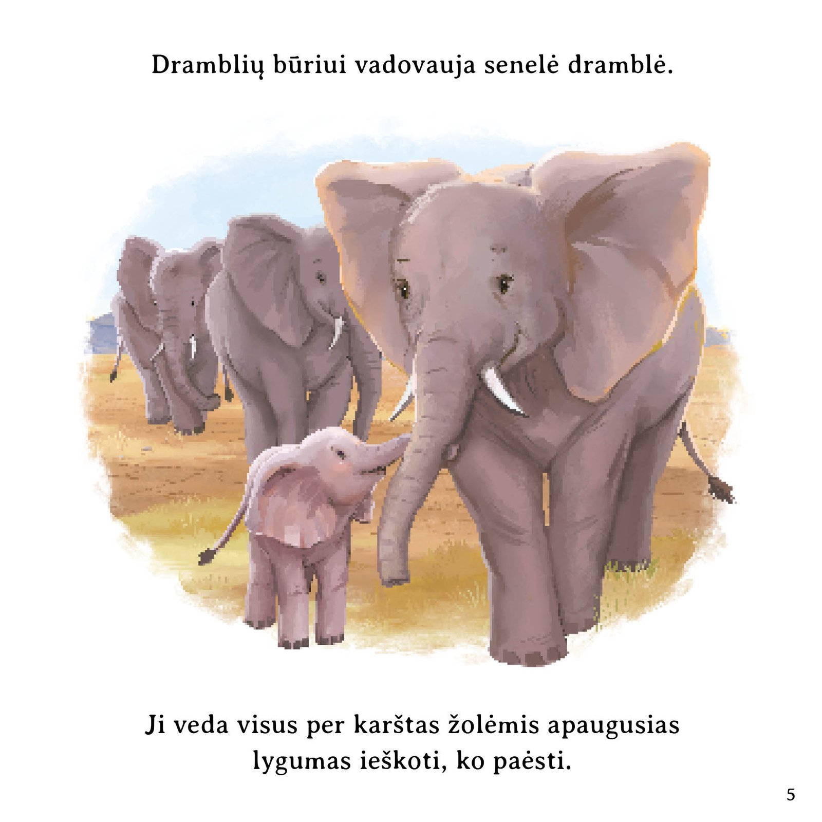 Laukinės gamtos istorijos - Image 4