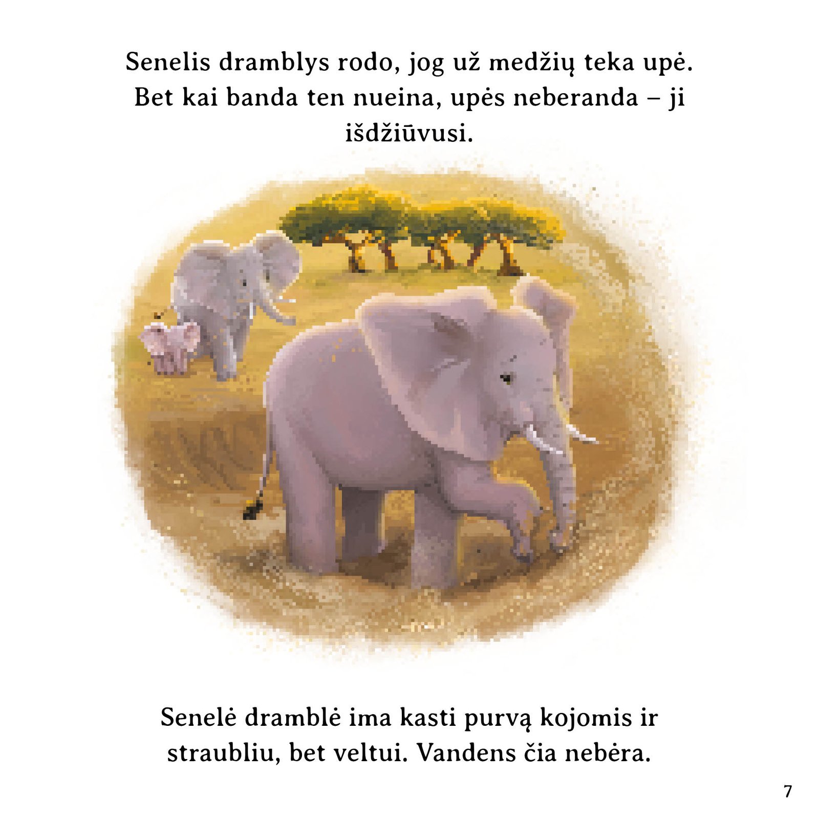 Laukinės gamtos istorijos - Image 2