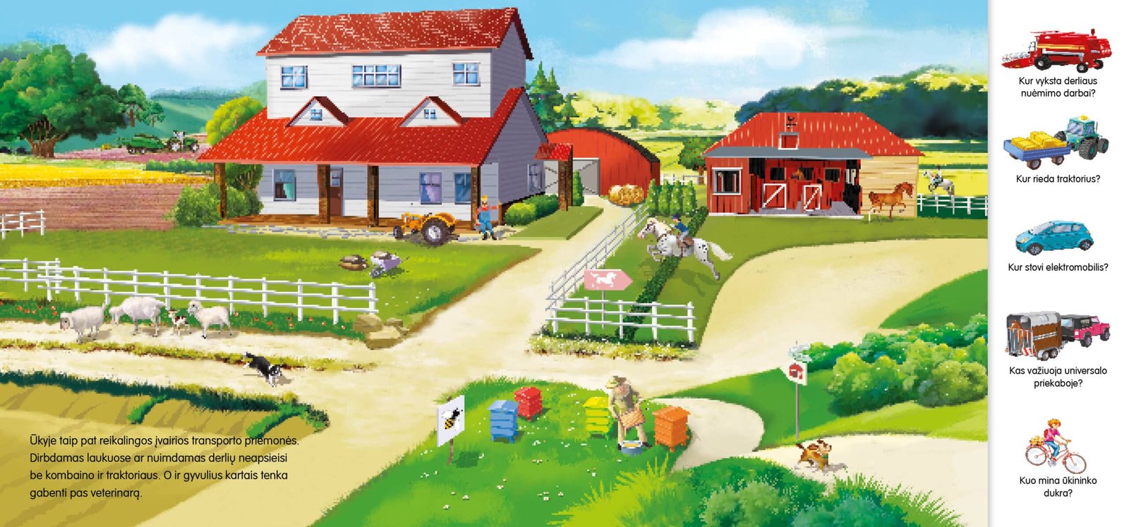 Transporto priemonės. Knygelė su 24 magnetukais - Image 3